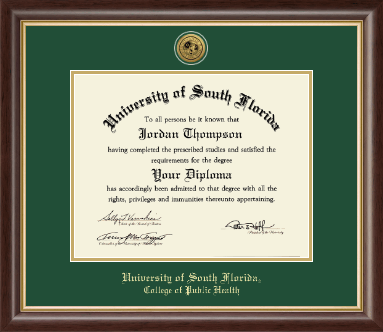 University of South Florida Health Sciences diploma frame - Gold Engraved Medallion Diploma Frame in Hampshire