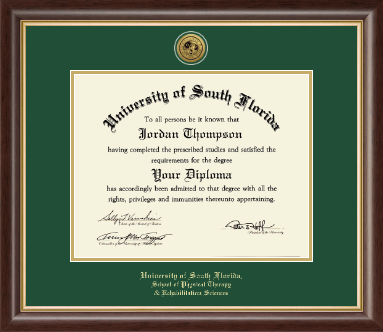 University of South Florida Health Sciences diploma frame - Gold Engraved Medallion Diploma Frame in Hampshire