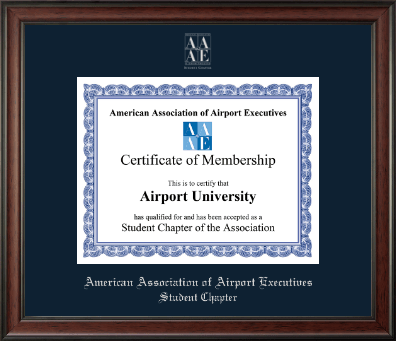 American Association of Airport Executives certificate frame - Silver Embossed Certificate Frame in Studio