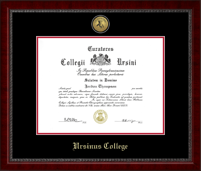 Ursinus College diploma frame - Gold Engraved Medallion Diploma Frame in Sutton