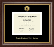 Amity Regional High School diploma frame - Gold Engraved Medallion Diploma Frame in Hampshire