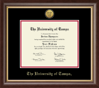 University of Tampa Gold Engraved Medallion Diploma Frame in Hampshire