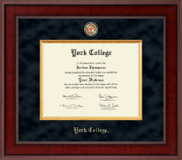York College in New York Presidential Masterpiece Diploma Frame in Jefferson