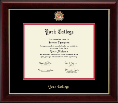 York College in New York diploma frame - Masterpiece Medallion Diploma Frame in Gallery