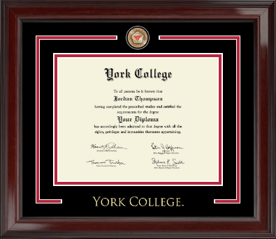 York College in New York diploma frame - Showcase Edition Diploma Frame in Encore