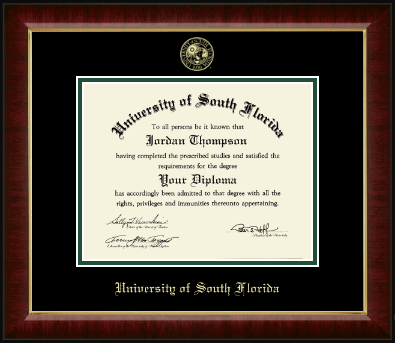 University of South Florida diploma frame - Gold Embossed Diploma Frame in Murano