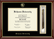 Belhaven University diploma frame - Tassel Edition Diploma Frame in Southport Gold