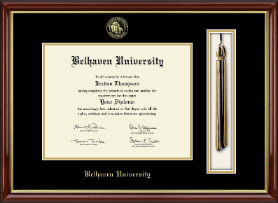 Belhaven University diploma frame - Tassel & Cord Diploma Frame in Southport Gold