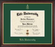 Life University Gold Embossed Diploma Frame in Studio Gold
