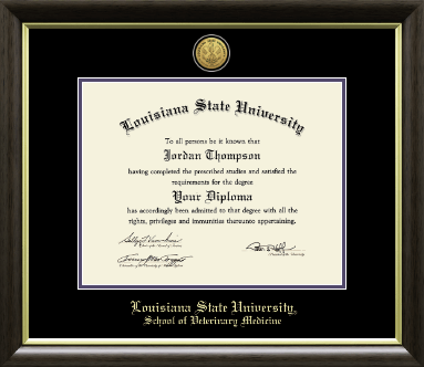 Louisiana State University diploma frame - Gold Engraved Medallion Diploma Frame in Hampshire