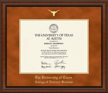 The University of Texas at Austin diploma frame - Gold Embossed Diploma Frame in Austin