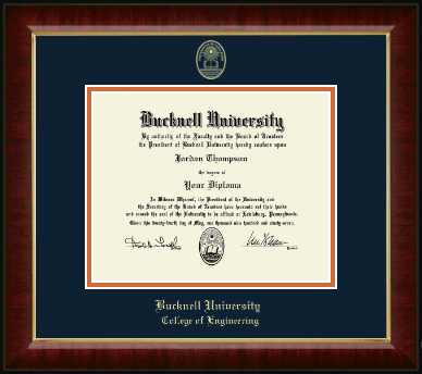 Bucknell University diploma frame - Gold Embossed Diploma Frame in Murano