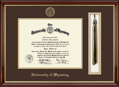 University of Wyoming diploma frame - Tassel & Cord Diploma Frame in Southport Gold