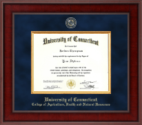 University of Connecticut diploma frame - Presidential Masterpiece Diploma Frame in Jefferson