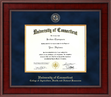 University of Connecticut diploma frame - Presidential Masterpiece Diploma Frame in Jefferson