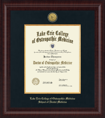 Lake Erie College of Osteopathic Medicine diploma frame - Presidential Gold Engraved Diploma Frame in Premier