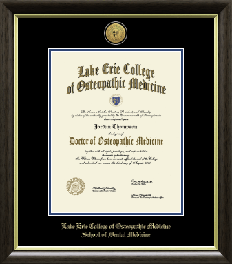 Lake Erie College of Osteopathic Medicine diploma frame - Gold Engraved Medallion Diploma Frame in Hampshire