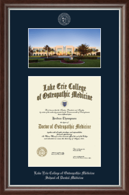 Lake Erie College of Osteopathic Medicine diploma frame - Bradenton Campus Scene Diploma Frame in Devonshire