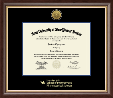 University at Buffalo diploma frame - Gold Engraved Medallion Diploma Frame in Hampshire
