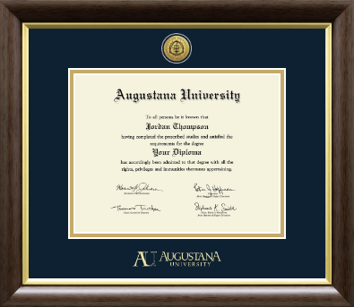 Augustana University diploma frame - Gold Engraved Medallion Diploma Frame in Hampshire