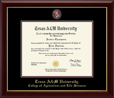 Texas A&M University diploma frame - Masterpiece Medallion Diploma Frame in Gallery