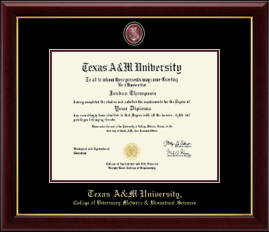 Texas A&M University diploma frame - Masterpiece Medallion Diploma Frame in Gallery