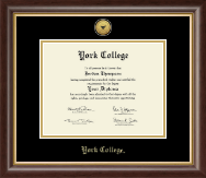 York College in New York diploma frame - Gold Engraved Medallion Diploma Frame in Hampshire