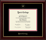 York College in New York diploma frame - Gold Embossed Diploma Frame in Gallery