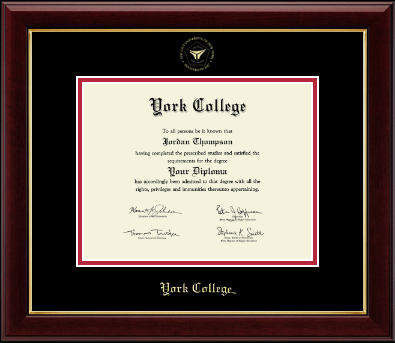 York College in New York diploma frame - Gold Embossed Diploma Frame in Gallery