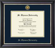 St. Thomas University Gold Engraved Medallion Diploma Frame in Noir