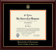 The University of Tennessee Knoxville Gold Embossed Diploma Frame in Gallery