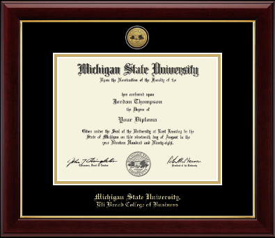 Michigan State University diploma frame - Gold Engraved Medallion Diploma Frame in Gallery