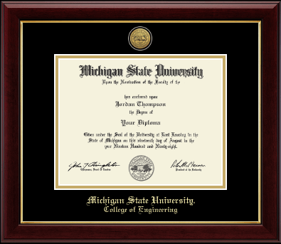 Michigan State University diploma frame - Gold Engraved Medallion Diploma Frame in Gallery