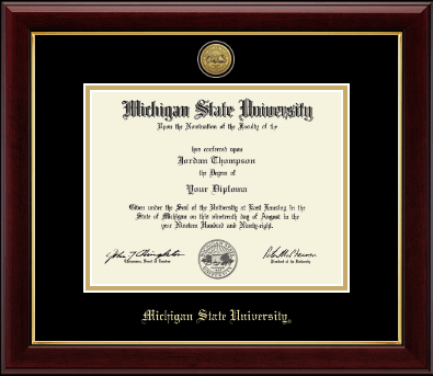 Michigan State University diploma frame - Gold Engraved Medallion Diploma Frame in Gallery