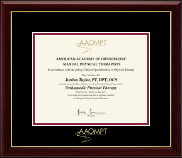 American Academy of Orthopaedic Manual Physical Therapists Gold Embossed Certificate Frame in Gallery