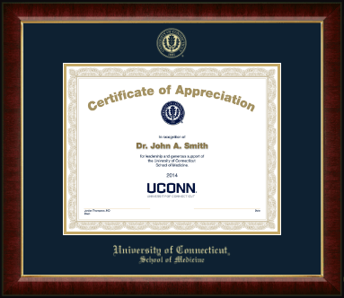 University of Connecticut School of Medicine certificate frame - Gold Embossed Certificate Frame in Murano