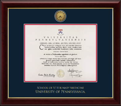 University of Pennsylvania diploma frame - Gold Engraved Medallion Diploma Frame in Gallery