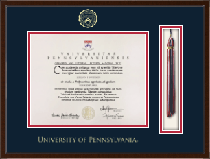 Tassel & Cord Diploma Frame