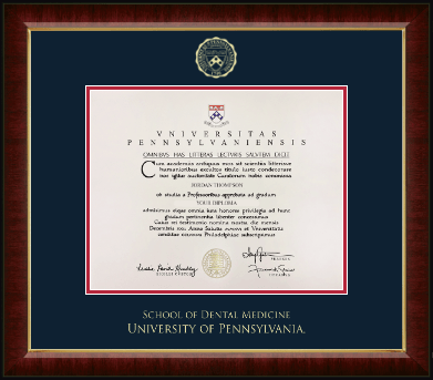University of Pennsylvania diploma frame - Gold Embossed Diploma Frame in Murano