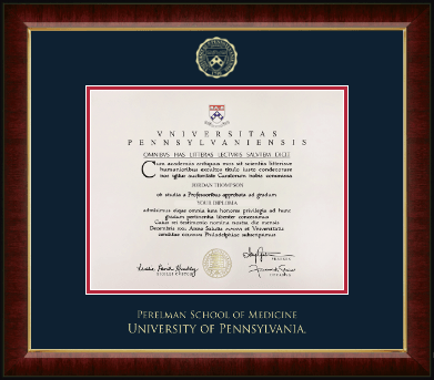 University of Pennsylvania diploma frame - Gold Embossed Diploma Frame in Murano