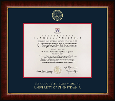 University of Pennsylvania diploma frame - Gold Embossed Diploma Frame in Murano