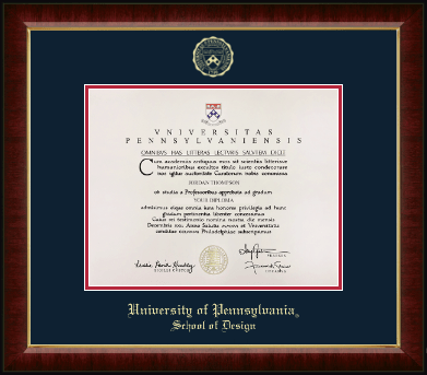 University of Pennsylvania diploma frame - Gold Embossed Diploma Frame in Murano