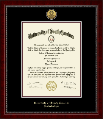 University of South Carolina Salkehatchie diploma frame - Gold Engraved Medallion Diploma Frame in Sutton