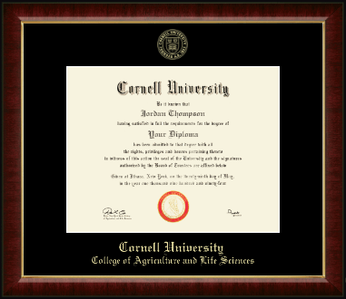 Cornell University diploma frame - Gold Embossed Diploma Frame in Murano