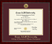 Texas A&M University Gold Engraved Medallion Diploma Frame in Sutton