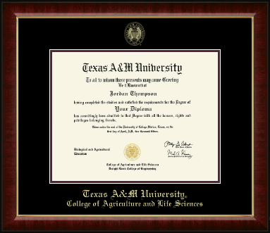 Texas A&M University diploma frame - Gold Embossed Diploma Frame in Murano