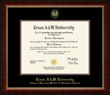 Texas A&M University diploma frame - Gold Embossed Diploma Frame in Murano