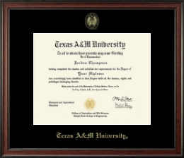 Gold Embossed Diploma Frame
