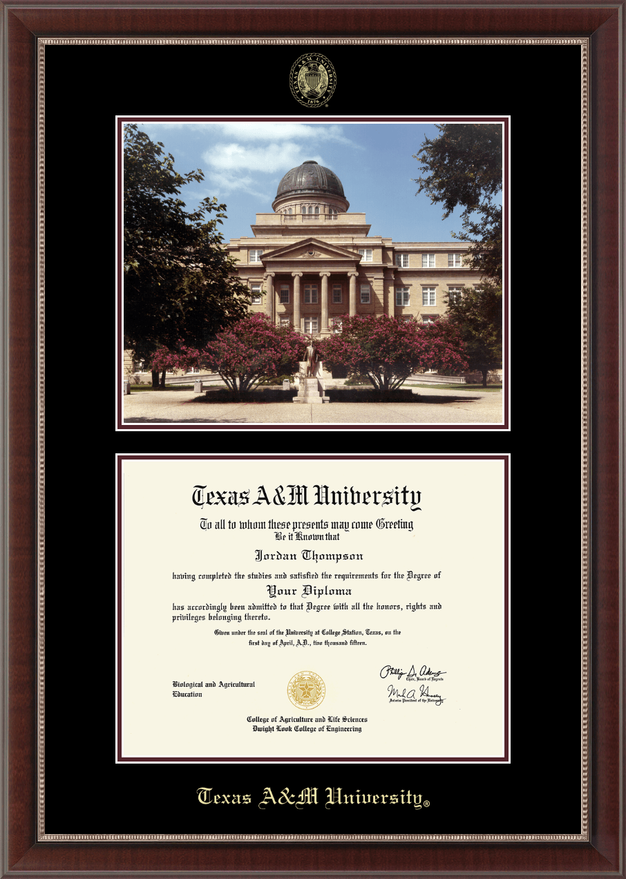 Texas A&M University Campus Scene Diploma Frame in Chateau Item