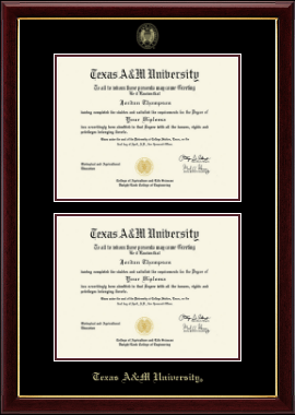 Texas A&M University diploma frame - Double Diploma Frame in Gallery